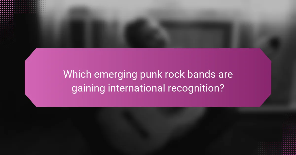 Which emerging punk rock bands are gaining international recognition?