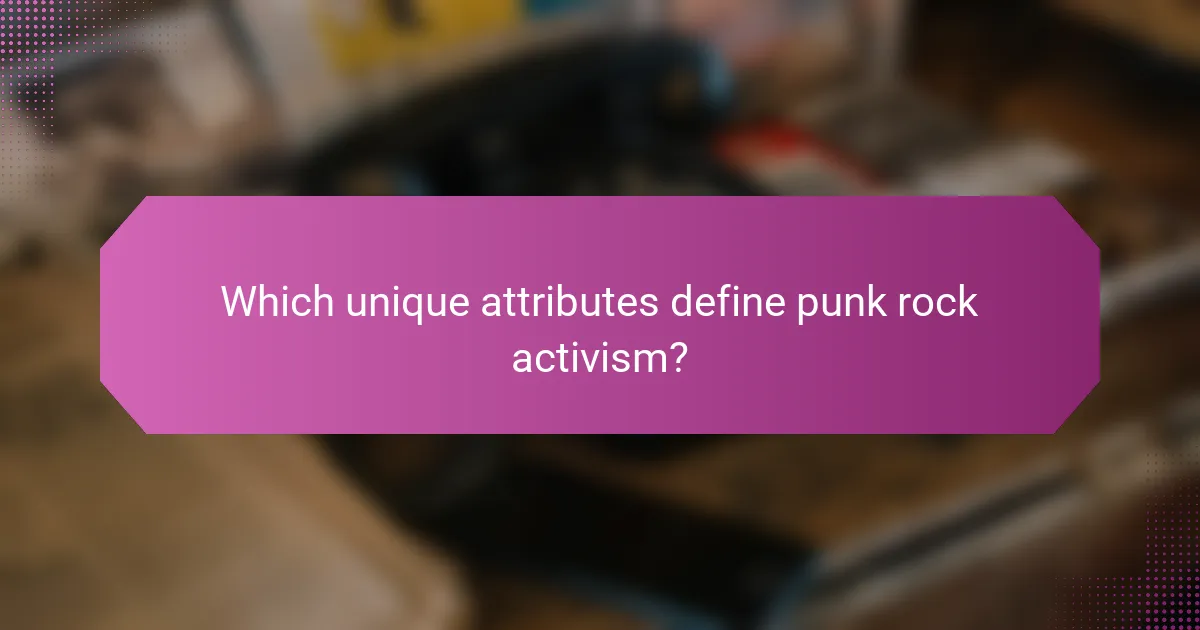 Which unique attributes define punk rock activism?
