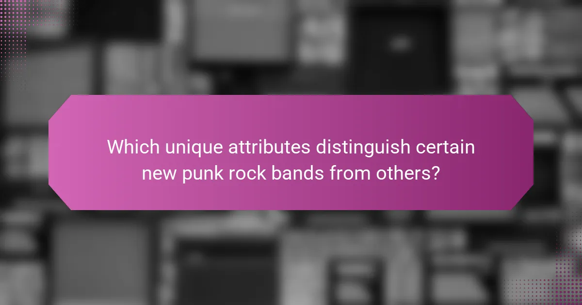 Which unique attributes distinguish certain new punk rock bands from others?