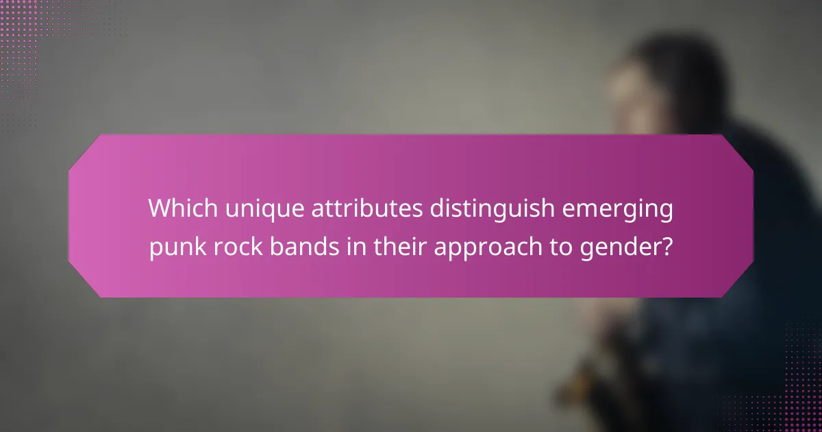 Which unique attributes distinguish emerging punk rock bands in their approach to gender?