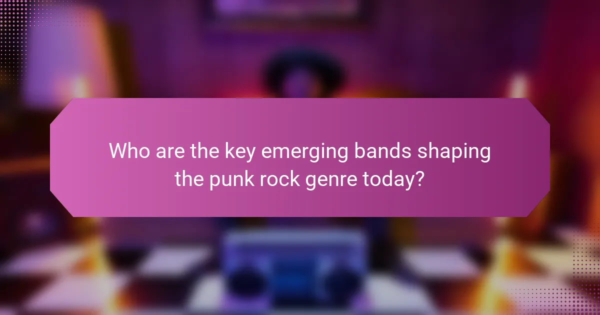 Who are the key emerging bands shaping the punk rock genre today?