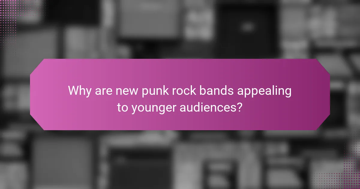 Why are new punk rock bands appealing to younger audiences?