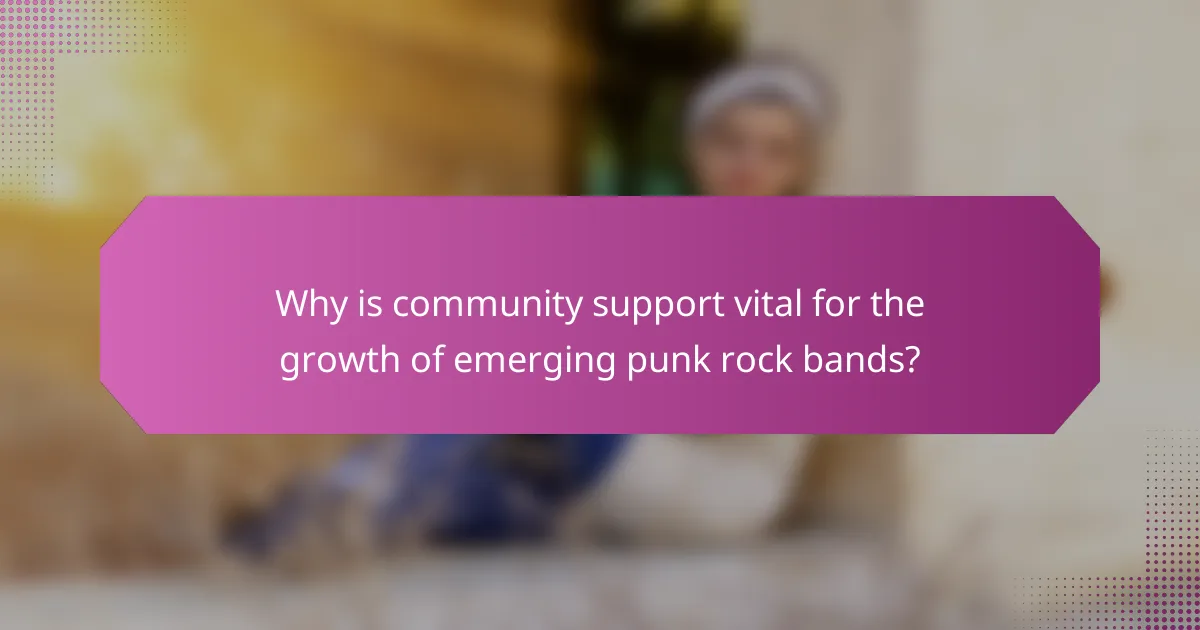 Why is community support vital for the growth of emerging punk rock bands?